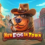 New Dog in Town